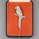 French Art Deco Bird Brooch